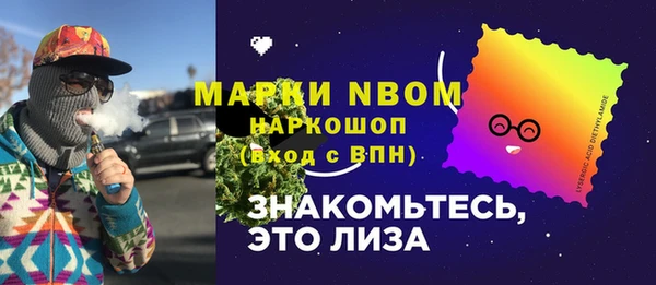 хмурый Арсеньев