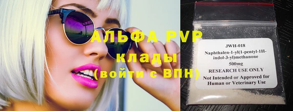 хмурый Арсеньев