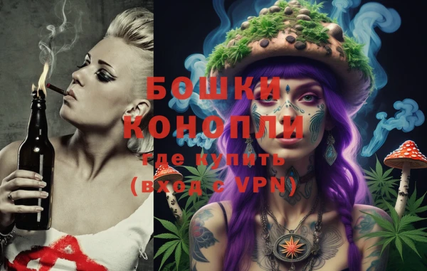 винт Армянск