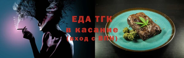 хмурый Арсеньев