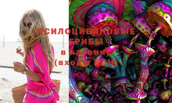 хмурый Арсеньев
