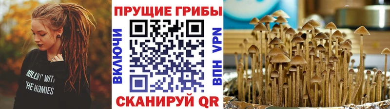 Галлюциногенные грибы Psilocybe  МЕГА ссылка  Голицыно 